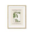 Picture of Trillium Erectum - Hannah Overbeck  _GroupedProduct_Rectangle_Portrait_Framed_Matted_