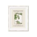 Picture of Trillium Erectum - Hannah Overbeck  _GroupedProduct_Rectangle_Portrait_Framed_Matted_