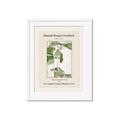Picture of Trillium Erectum - Hannah Overbeck  _GroupedProduct_Rectangle_Portrait_Framed_Matted_