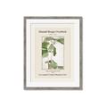 Picture of Trillium Erectum - Hannah Overbeck  _GroupedProduct_Rectangle_Portrait_Framed_Matted_