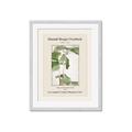 Picture of Trillium Erectum - Hannah Overbeck  _GroupedProduct_Rectangle_Portrait_Framed_Matted_