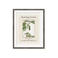 Picture of Trillium Erectum - Hannah Overbeck  _GroupedProduct_Rectangle_Portrait_Framed_Matted_
