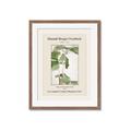 Picture of Trillium Erectum - Hannah Overbeck  _GroupedProduct_Rectangle_Portrait_Framed_Matted_