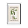 Picture of Trillium Erectum - Hannah Overbeck  _GroupedProduct_Rectangle_Portrait_Framed_Matted_