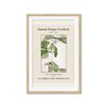 Picture of Trillium Erectum - Hannah Overbeck  _GroupedProduct_Rectangle_Portrait_Framed_Matted_
