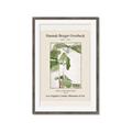 Picture of Trillium Erectum - Hannah Overbeck  _GroupedProduct_Rectangle_Portrait_Framed_Matted_