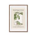 Picture of Trillium Erectum - Hannah Overbeck  _GroupedProduct_Rectangle_Portrait_Framed_Matted_