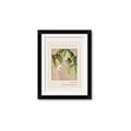 Picture of Cool Mist - Hannah Overbeck _GroupedProduct_Rectangle_Portrait_Framed_Matted_
