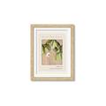 Picture of Cool Mist - Hannah Overbeck _GroupedProduct_Rectangle_Portrait_Framed_Matted_