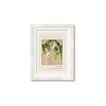 Picture of Cool Mist - Hannah Overbeck _GroupedProduct_Rectangle_Portrait_Framed_Matted_