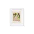 Picture of Cool Mist - Hannah Overbeck _GroupedProduct_Rectangle_Portrait_Framed_Matted_