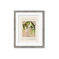 Picture of Cool Mist - Hannah Overbeck _GroupedProduct_Rectangle_Portrait_Framed_Matted_