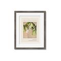 Picture of Cool Mist - Hannah Overbeck _GroupedProduct_Rectangle_Portrait_Framed_Matted_