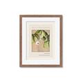 Picture of Cool Mist - Hannah Overbeck _GroupedProduct_Rectangle_Portrait_Framed_Matted_