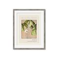 Picture of Cool Mist - Hannah Overbeck _GroupedProduct_Rectangle_Portrait_Framed_Matted_