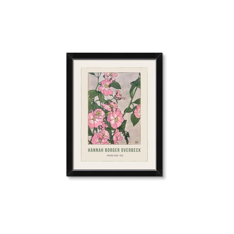 Picture of Praire Rose - Hannah Overbeck  _GroupedProduct_Rectangle_Portrait_Framed_Matted_