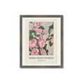 Picture of Praire Rose - Hannah Overbeck  _GroupedProduct_Rectangle_Portrait_Framed_Matted_