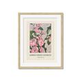 Picture of Praire Rose - Hannah Overbeck  _GroupedProduct_Rectangle_Portrait_Framed_Matted_