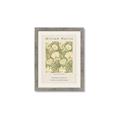 Picture of Centenary Exhibition - Morris _GroupedProduct_Rectangle_Portrait_Framed_Matted_