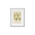 Picture of Centenary Exhibition - Morris _GroupedProduct_Rectangle_Portrait_Framed_Matted_