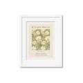 Picture of Centenary Exhibition - Morris _GroupedProduct_Rectangle_Portrait_Framed_Matted_