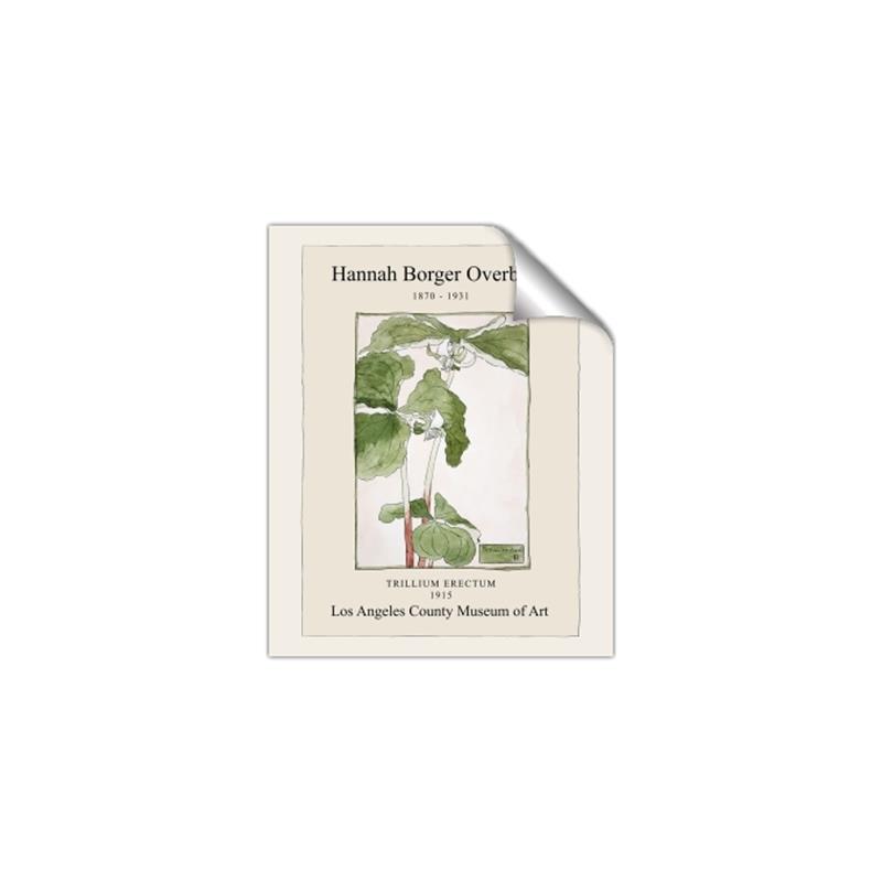 Picture of Trillium Erectum - Hannah Overbeck  _GroupedProduct_Rectangle_Portrait_Unframed_Print_Only_
