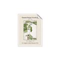 Picture of Trillium Erectum - Hannah Overbeck  _GroupedProduct_Rectangle_Portrait_Unframed_Print_Only_