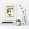 Picture of Trillium Erectum - Hannah Overbeck  _GroupedProduct_Rectangle_Portrait_Canvas_