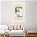Picture of Trillium Erectum - Hannah Overbeck  _GroupedProduct_Rectangle_Portrait_Canvas_