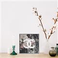 Picture of Chanel _GroupedProduct_Square_Canvas_Framed_