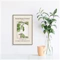 Picture of Trillium Erectum - Hannah Overbeck  _GroupedProduct_Rectangle_Portrait_Canvas_Framed_