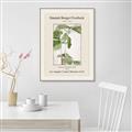 Picture of Trillium Erectum - Hannah Overbeck  _GroupedProduct_Rectangle_Portrait_Canvas_Framed_