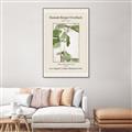 Picture of Trillium Erectum - Hannah Overbeck  _GroupedProduct_Rectangle_Portrait_Canvas_Framed_