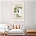 Picture of Trillium Erectum - Hannah Overbeck  _GroupedProduct_Rectangle_Portrait_Canvas_Framed_