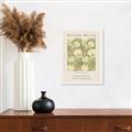 Picture of Centenary Exhibition - Morris _GroupedProduct_Rectangle_Portrait_Unframed_Print_Only_
