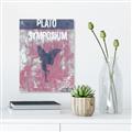 Picture of Plato Symposium _GroupedProduct_Rectangle_Portrait_Unframed_Print_Only_