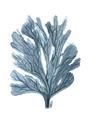 Picture of Blue Tree II _GroupedProduct_Rectangle_Portrait_Unframed_Print_Only_