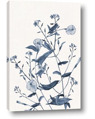 Picture of Blue Flower Sketch I