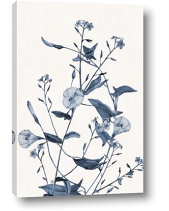 Picture of Blue Flower Sketch II