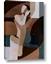 Picture of Colour Block Lady