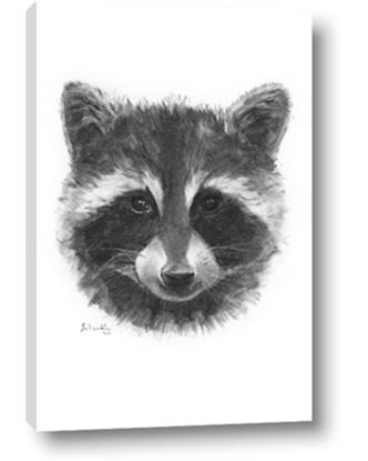 Picture of Raccoon Sketch