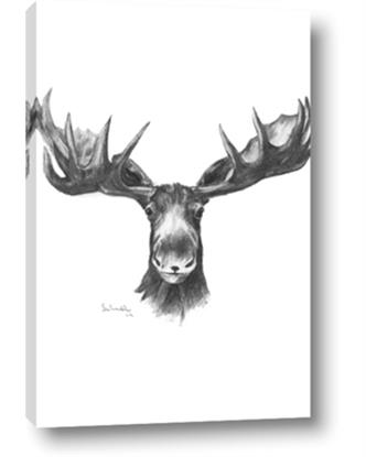 Picture of Moose Sketch