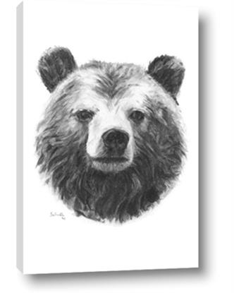 Picture of Bear Sketch