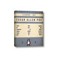 Picture of Edgar Allen Poe _GroupedProduct_Rectangle_Portrait_Canvas_