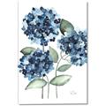 Picture of Blue Hydrangeas II _GroupedProduct_Rectangle_Portrait_Canvas_