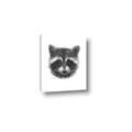 Picture of Raccoon Sketch _GroupedProduct_Rectangle_Portrait_Canvas_