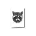 Picture of Raccoon Sketch _GroupedProduct_Rectangle_Portrait_Canvas_