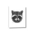 Picture of Raccoon Sketch _GroupedProduct_Rectangle_Portrait_Canvas_