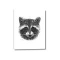 Picture of Raccoon Sketch _GroupedProduct_Rectangle_Portrait_Canvas_