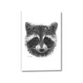 Picture of Raccoon Sketch _GroupedProduct_Rectangle_Portrait_Canvas_